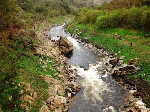 Río Ulla en Agolada- (Agolada)