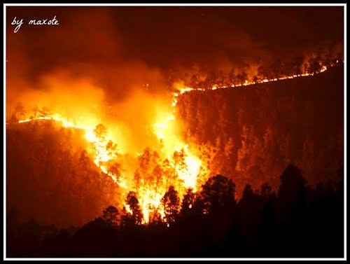 ? Incendio en el sur de Tenerife (Mi homenaje a todos los que luchan contra el fuego)