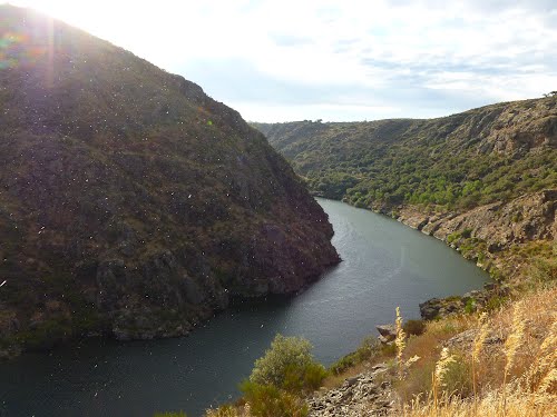 Pino del Oro. Río Duero (llovía un poco, se ve en la foto)