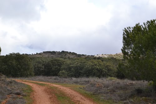 Sierra de Altomira