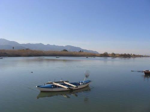Laguna del Estany (Cullera - Valencia)