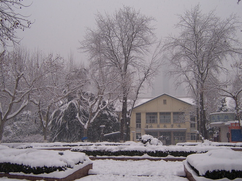 南园雪景