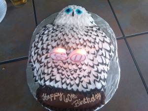 My Dad's 60th birthday owl cake