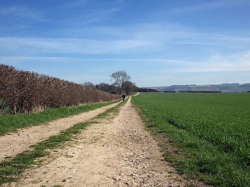 wolds-march2012-1