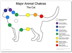 Cat Chakras