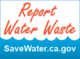 Report Water Waste
