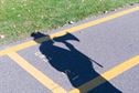 The shadow of Tech. Sgt. Erica Hokkanen, 934th Development and Training Flight instructor, is cast on the running track as she announces times to trainees.