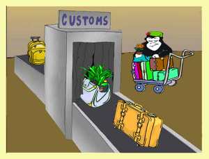 Guerilla Gardener going through Customs
