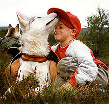 Siberian Husky and a girl on the grass