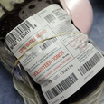 On Friday, Aug. 26, 2016, the Food and Drug Administration recommended that all U.S. blood banks start screening for the Zika virus, a major expansion intended to protect the nation's blood supply from the mosquito-borne disease. 