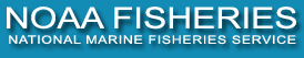 NOAA Fisheries/National Marine Fisheries Service banner