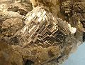 Apatite-Arsenopyrite-Muscovite-119109.jpg