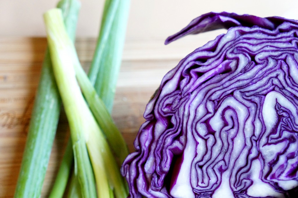 Cabbage and green onion - Ingredients for a delicious tangy asian sesame salad recipe - tomatoboots.co