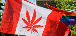 Justin Trudeau To Legalize Weed in Canada