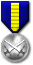 The Order of the Tactician in silver (Click to see more)