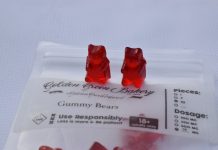 infused gummy bears