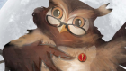 Wise Owls Senate