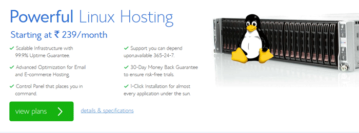5-best-and-cheap-webhosting-bluehost-india