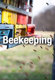 GloryBee Beekeeping