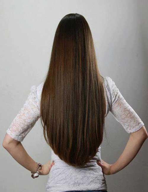 Straight Long V Cut Hair Back View