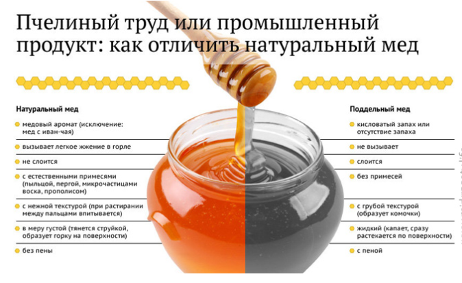 Советы пасечника: как отличить натуральный мед от поддельного?