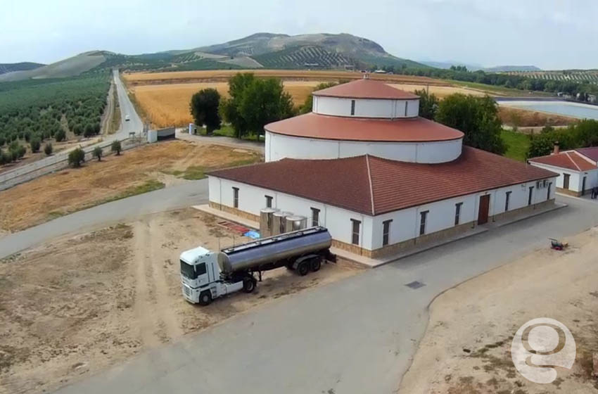 Instalaciones donde se elabora el aceite de oliva virgen extra Sierra de Cazorla