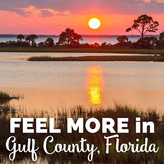 Feel More In Gulf County Florida 1 Daily Mom, Magazine For Families