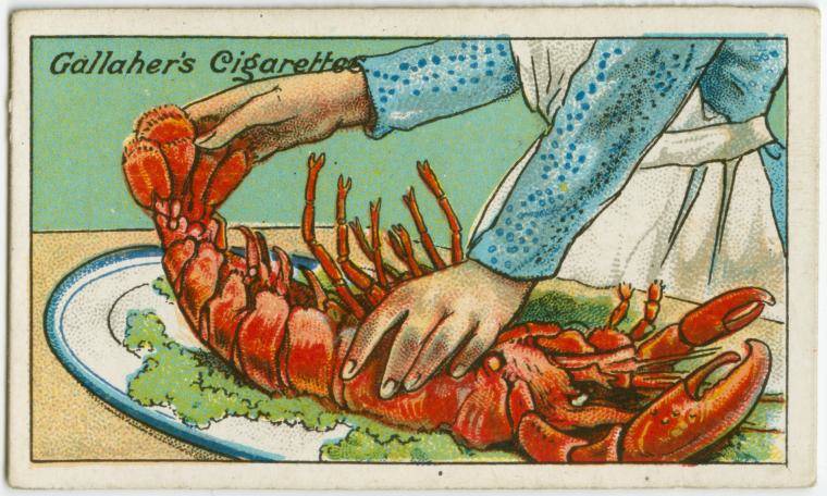 How to judge the freshness of a lobster