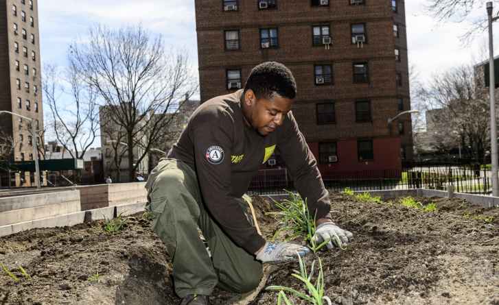 NYCHA growing its urban farms program in Bronx, Staten Island