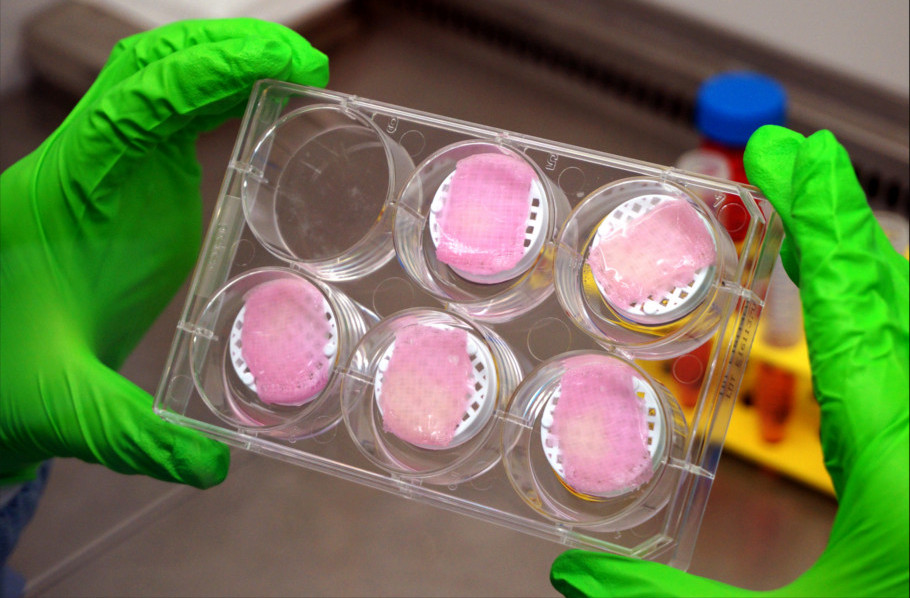 BASF and Poietis Continue Work Toward 3D Printed Skin in Renewed Bioprinting Agreement