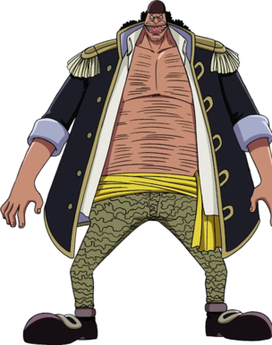 One Piece: The world of pirates