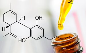 Reviews of the top CBD hemp oil to purchase