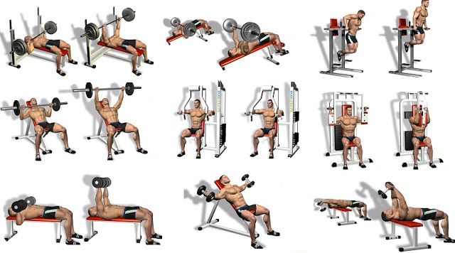 Image result for chest exercises