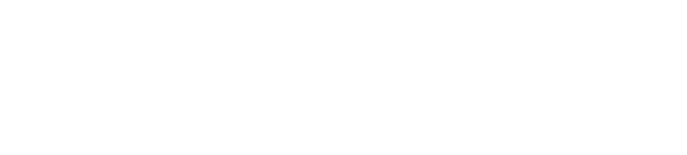 DashBid | Programmatic Advertising That Works