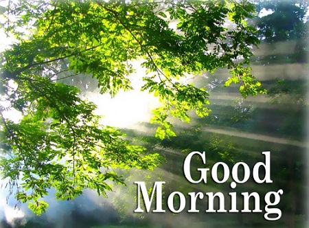 Beautiful good morning nature wallpaper