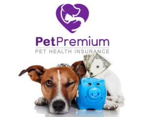 petpremium-pet-insurance-review-2
