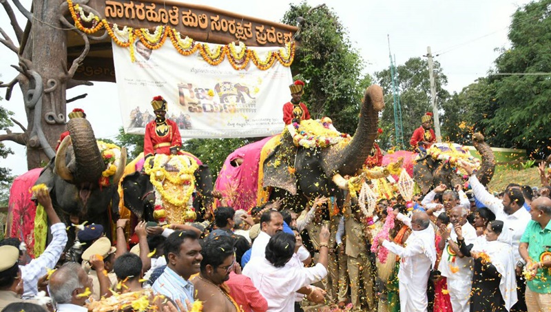 Journey of Dasara elephants in Pictures