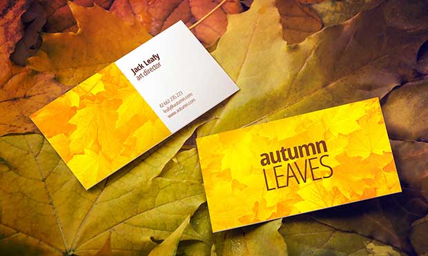 free-autumn-leaves-business-card-mockup