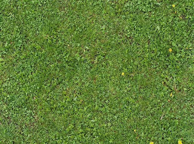 seamless-green-grass-texture