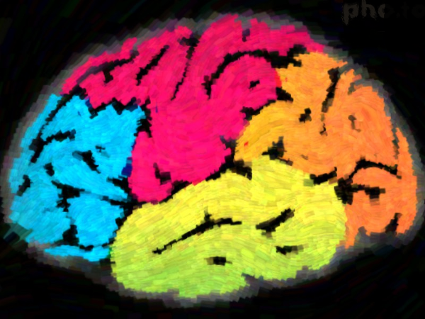 Graphic of the brain