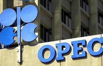 OPEC's dilemma: Lose market share or revenue