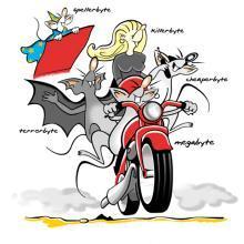 Byte family on a motor bike - click to  read the article animal brands in the SSD market