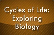 Cycles Of Life: Exploring Biology