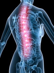 back pain44