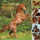 365 Days of Horses 2020 Wall Calendar