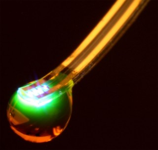 Mind control isn't just science fiction. Researchers have designed a brain implant that can control the actions of mice with the press of a button. Scientists used soft materials to create a brain implant a tenth the width of a human hair that can wirelessly control neurons with lights and drugs. (Photo : Jeong lab, University of Colorado Boulder)