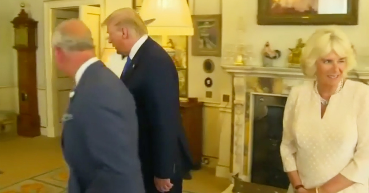 Camilla Goes Viral with Wink Behind Trump's Back During Tea with Prince Charles: She Is 'All Sane People,' Twitter Says