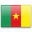 Cameroon Flag Symbol