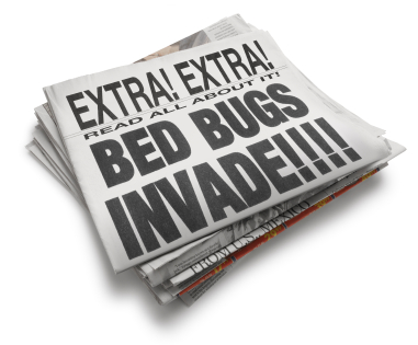 Bed Bugs in New York