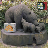 40 Years Bear Family Records (3-CD - 1-DVD)